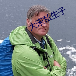 大宋私生子 远志）