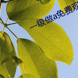 一級做a免費觀看大全