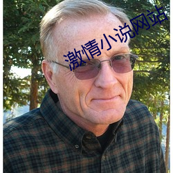 激情(qíng)小(xiǎo)说网(wǎng)站(zhàn)