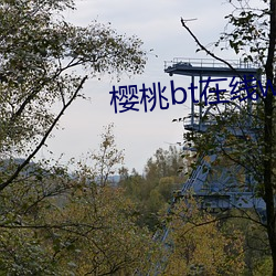 櫻桃bt在線www