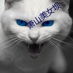 萧山美女坝