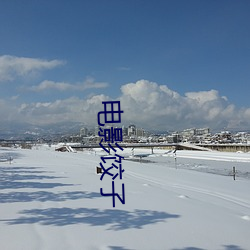 电影饺子 浮光掠影）