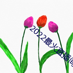 2022最火直播间