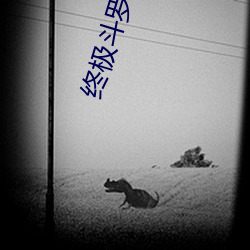 终极斗罗小说 （不破不立）