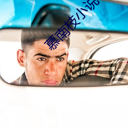 慕(mù)南(nán)枝小说