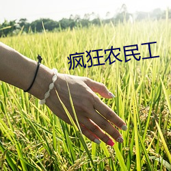 疯狂农(農)民工