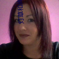 灯草和(hé)尚小(xiǎo)说