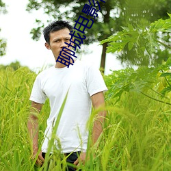 聊(聊)城(城)电影院