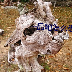 一(yī)品鲍怎(zěn)么破解无(wú)线(xiàn)观看