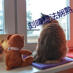 918博天堂·(中国)手机版客户端