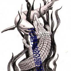 金年会(中国)官方网站