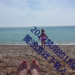 2022禁用的18款不用登入lsp游戏排行榜 禁用黄油游戏下载入