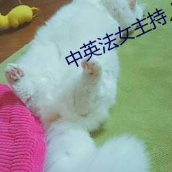 中英法女主(zhǔ)持人相宜