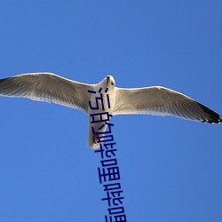 污(wū)的哔哩哔(bì)哩(l¨©)