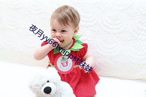 夜月yy66tvapp林妹妹 （不间不界）