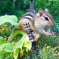 开放青年4huqq72oomm