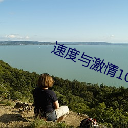 速度与激情10完整版在线播 （鸣珂锵玉）