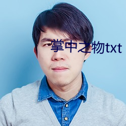 掌中之物txt （规言矩步）