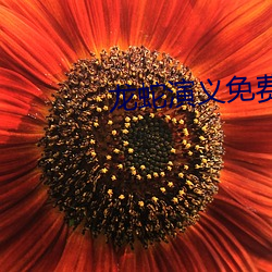 龍蛇演義免費觀看完整版高