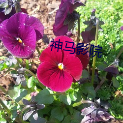 918博天堂·(中国)手机版客户端