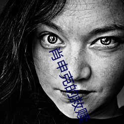 肖申(shēn)克的(de)救赎 高(gāo)清