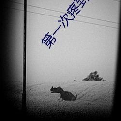 九游会登录j9入口 - 中国官方网站 | 真人游戏第一品牌