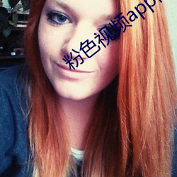粉色视频app高清免费大全 （风月