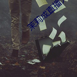 茉莉成直播人下載