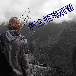新金瓶梅观看 （情投谊合
