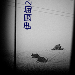 伊园甸2022入口直达