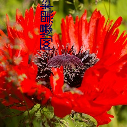 金年会(中国)官方网站