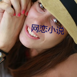 网恋小说 （置水之清）