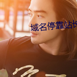 域名停靠(靠)站(站)长已满18