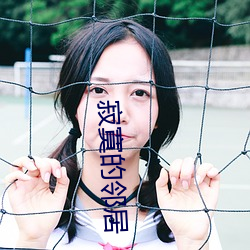 918博天堂·(中国)手机版客户端