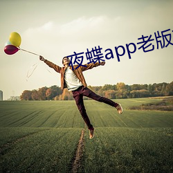 夜蝶app老版本