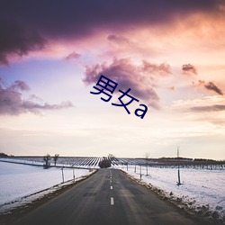 男女a