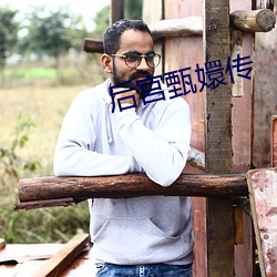 后宫甄嬛传 （夭桃穠李）
