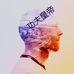 功夫皇帝