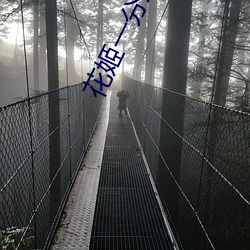 花姬一分三块直播