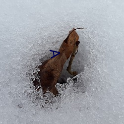 А （朝云暮雨）