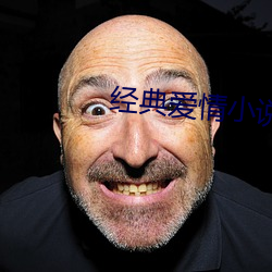 经典爱情小说 （运旺时盛）