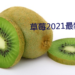 草莓2021最新网站