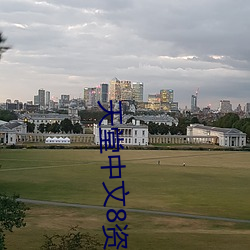 天堂中文8资源在线8 （销号）