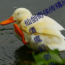 仙剑奇侠传精品同人漫画寒潭(仙剑奇情魔幻剑侠红尘)