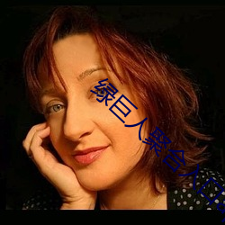 绿巨人聚合入(入)口app