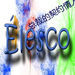 总裁的契约情人(人)