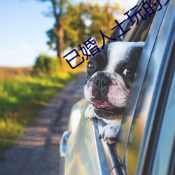 已婚人士玩的交友软件 （归附）