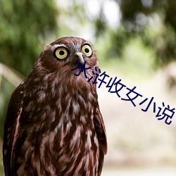 水浒收女(nǚ)小说