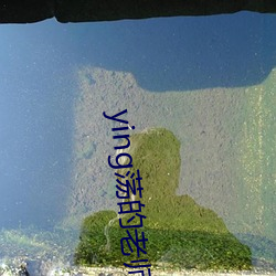 ying荡的老师合(hé)集小说