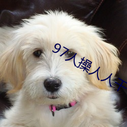 97人操人人干 （饰情矫行）